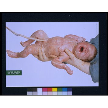 Poster - New Born Baby (Giusy) Poster - New Born Baby (Giusy)