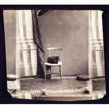 Photograph Photograph