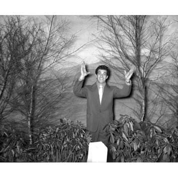 Photographic negative Photographic negative