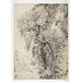 Study of ash trees | John Constable | V&A Search the Collections