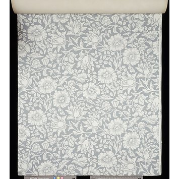 Wallpaper - Mallow Wallpaper - Mallow