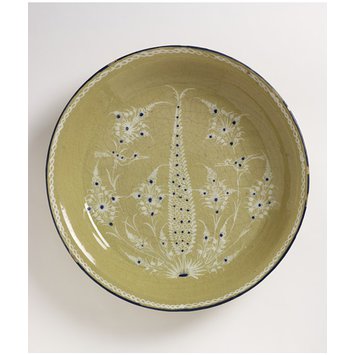 Dish Dish