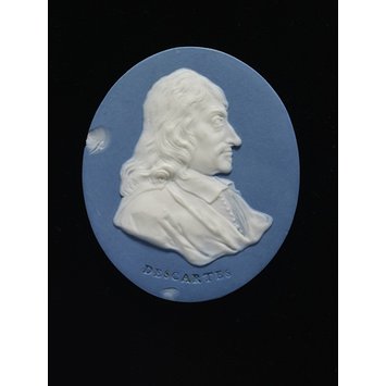 Plaque Plaque