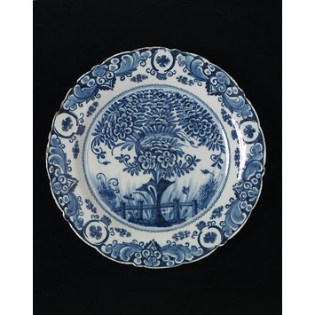 Dish Dish