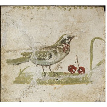 Fresco fragment - Bird standing on the ground with fruit Fresco fragment - Bird standing on the ground with fruit