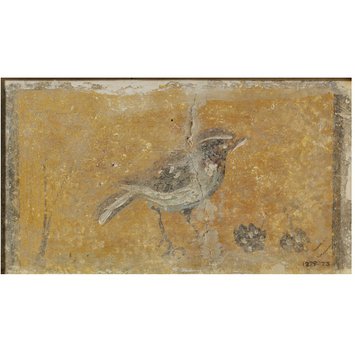 Fresco fragment - Bird standing on the ground with fruit Fresco fragment - Bird standing on the ground with fruit