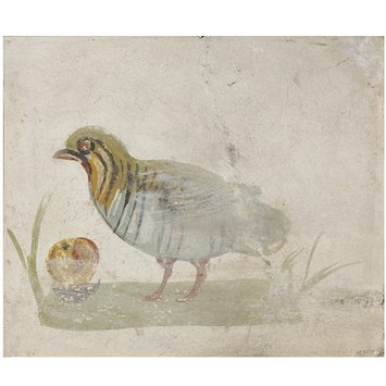 Fresco fragment - Bird standing on the ground with fruit Fresco fragment - Bird standing on the ground with fruit