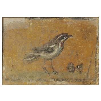 Fresco fragment - Bird standing on the ground with fruit Fresco fragment - Bird standing on the ground with fruit