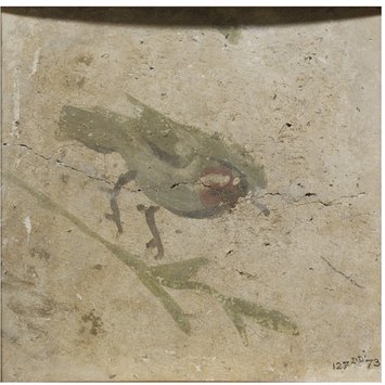 Fresco fragment - Bird on a branch Fresco fragment - Bird on a branch