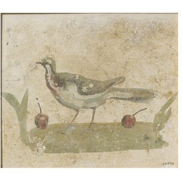 Fresco fragment - Bird standing on the ground with fruit Fresco fragment - Bird standing on the ground with fruit