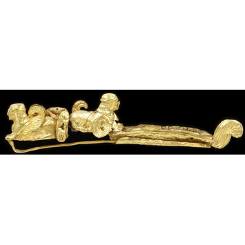 Fibula Fibula