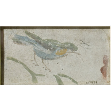 Fresco fragment - A Bird Fresco fragment - A Bird