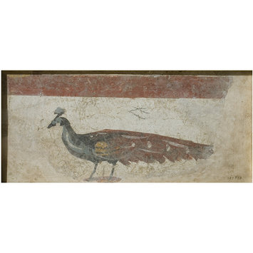 Fresco fragment - A Peacock Fresco fragment - A Peacock