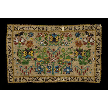Panel Panel