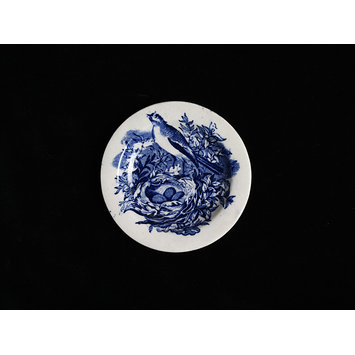 Toy plate Toy plate
