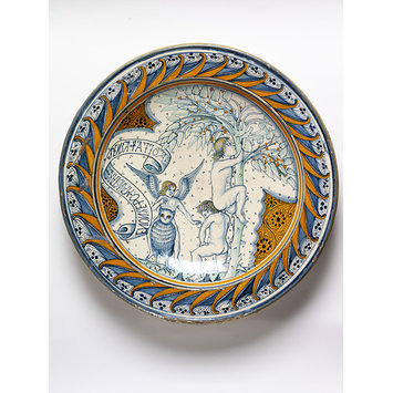 Dish Dish