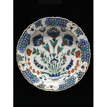 Dish Dish