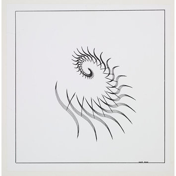 Photograph - White Horse Photograph - White Horse
