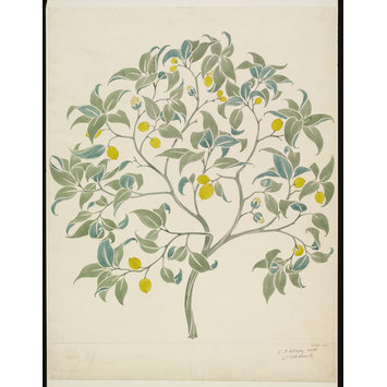 Wallpaper design - The Ornamental Tree Wallpaper design - The Ornamental Tree
