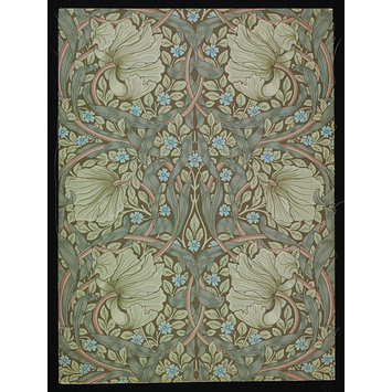 Wallpaper - Pimpernel Wallpaper - Pimpernel