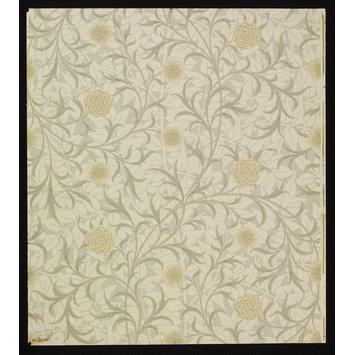 Wallpaper - Scroll Wallpaper - Scroll
