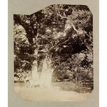 Photograph Photograph