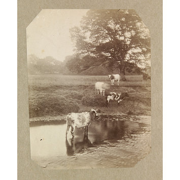 Photograph Photograph