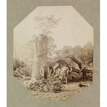 Photograph Photograph