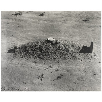 Photograph - Sharecropper's grave Photograph - Sharecropper's grave