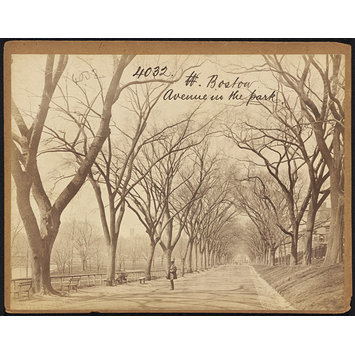 Photograph - Boston. Avenue in the park Photograph - Boston. Avenue in the park