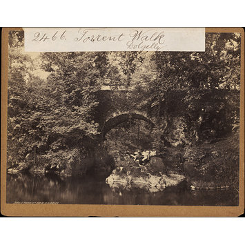 Photograph - Torrent Walk. Dolgelly Photograph - Torrent Walk. Dolgelly
