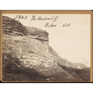 Photograph - The Undercliff. Niton. I.W. Photograph - The Undercliff. Niton. I.W.