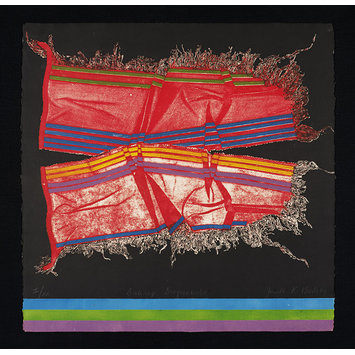 Print - Dishrag Diagrammatic Print - Dishrag Diagrammatic