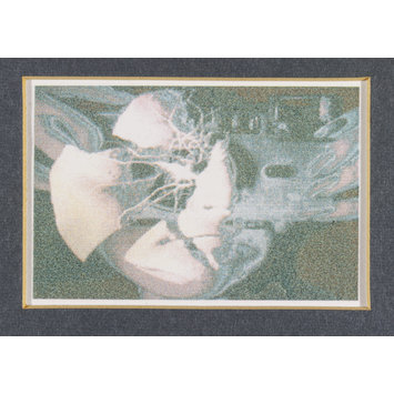 Print - Fractured Face Print - Fractured Face