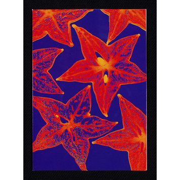 Greetings card Greetings card