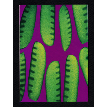Greetings card Greetings card