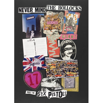 Never Mind The Bollocks Heres The Sex Pistols Reid Jamie - 