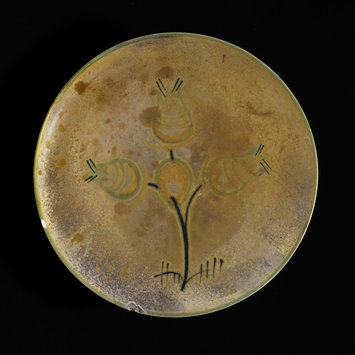 Dish Dish