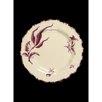 Dish Dish