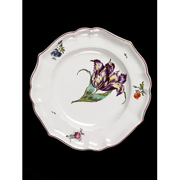Plate Plate