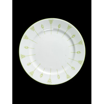Plate Plate