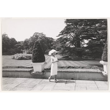 photograph photograph