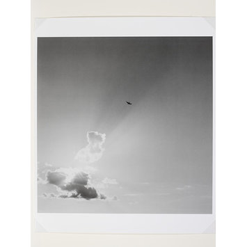 Photograph - Birds in Flight Photograph - Birds in Flight