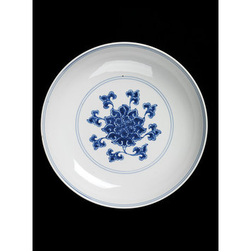Dish Dish