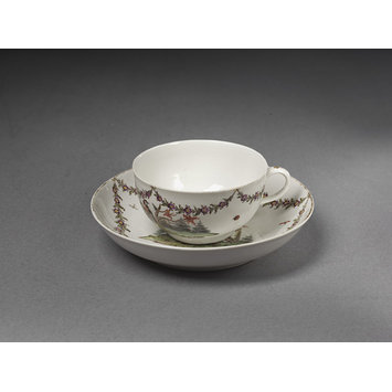 Teacup and saucer Teacup and saucer
