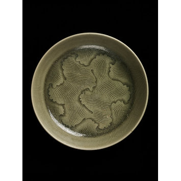 Dish Dish