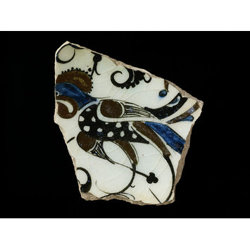 Fragment Fragment