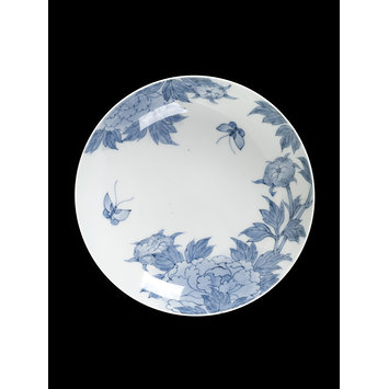 Dish Dish