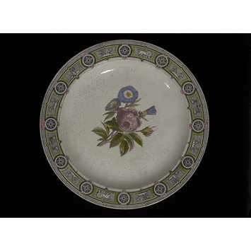 Plate Plate