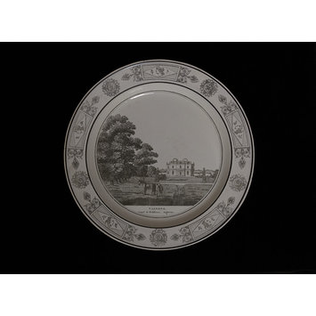 Plate Plate